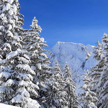 La Belle Etoile Lägenhet Manigod Exteriör bild