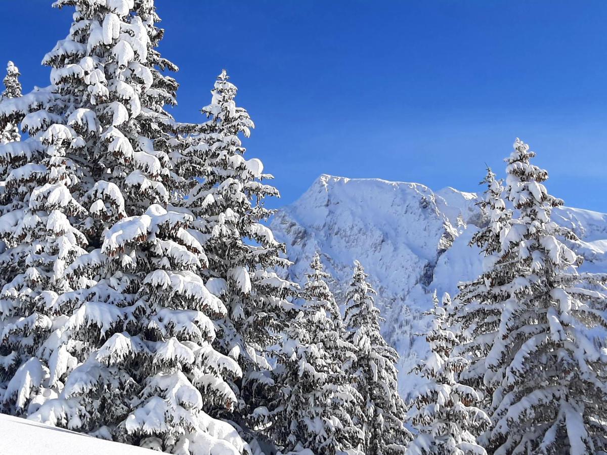 La Belle Etoile Lägenhet Manigod Exteriör bild